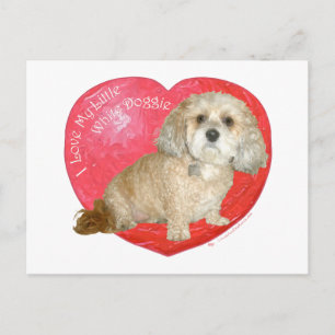 Shih Tzu / Poodle-Blandning Alla Hjärtans Dag Helg Vykort