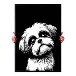 Shih Tzu Pop Art Vit & Svart Chic Estetik Poster