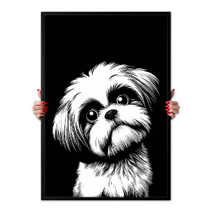 Shih Tzu Pop Art Vit & Svart Chic Estetik Poster