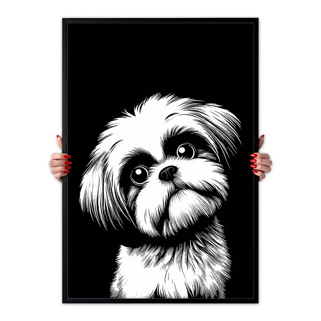 Shih Tzu Pop Art Vit & Svart Chic Estetik Poster (Shih Tzu Pop Art White & Black Chic Aesthetic Poster)