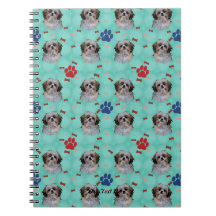 Shih Tzu Porträtt