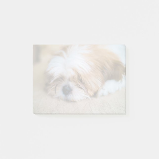 Shih Tzu Post-it Block (Framsida)