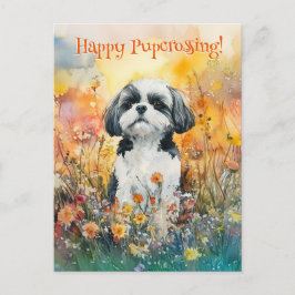 Shih Tzu Postcross - vykort