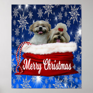 Shih Tzu Poster jul