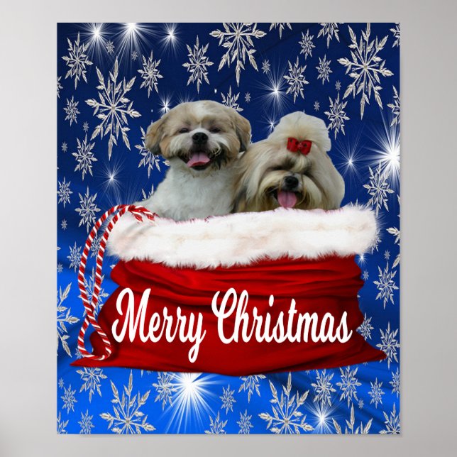 Shih Tzu Poster jul (Framsidan)