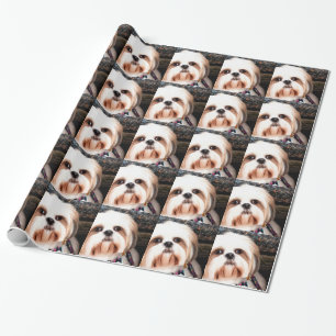 Shih Tzu Presentpapper