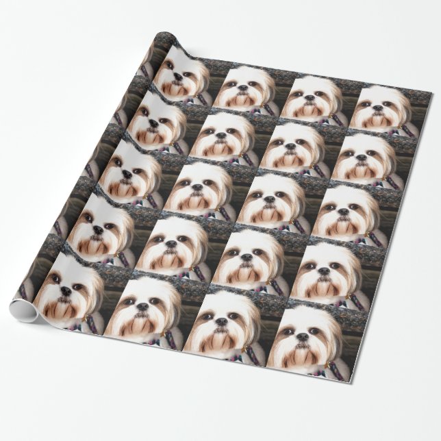 Shih Tzu Presentpapper (Utrullad)