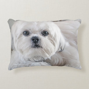 Shih Tzu Prydnadskudde