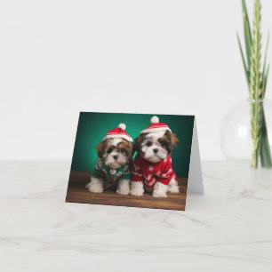 Shih Tzu Puppies-julkort Kort