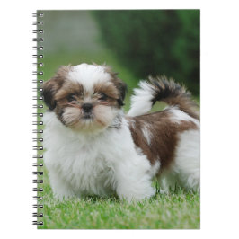 Shih tzu puppy anteckningsbok