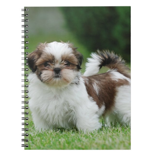 Shih tzu puppy anteckningsbok (Framsidan)