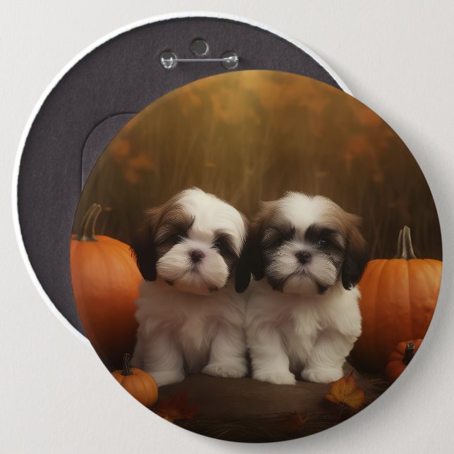 Shih Tzu Puppy Autumn Delight Pumpkin Knapp (Framsida & baksida)
