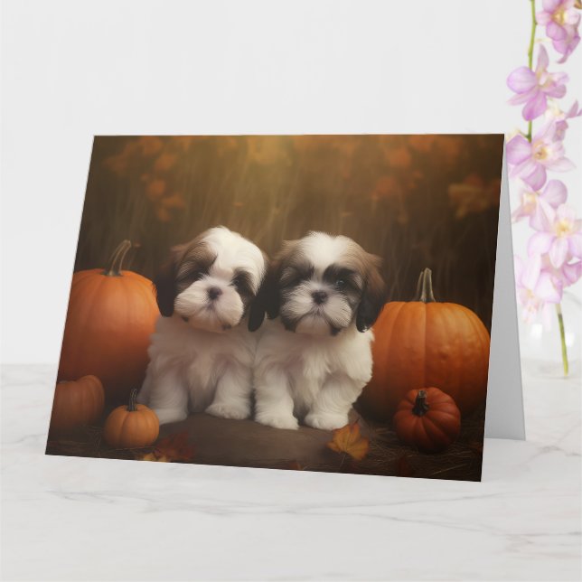 Shih Tzu Puppy Autumn Delight Pumpkin Kort (Orkide)