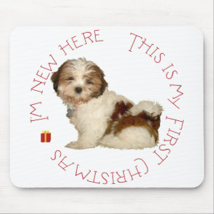 Shih Tzu Puppy Första jul Musmatta