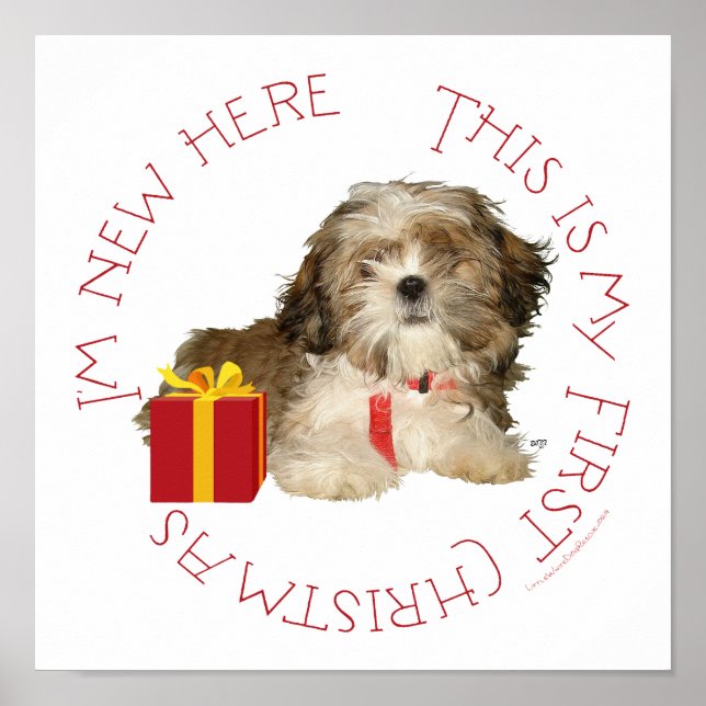 Shih Tzu Puppy Första jul Poster (Framsidan)