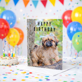 Shih Tzu Puppy Happy Birthday Card Cute Dog Kort