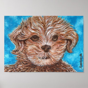 Shih Tzu Puppy Hund Skriv ut Poster