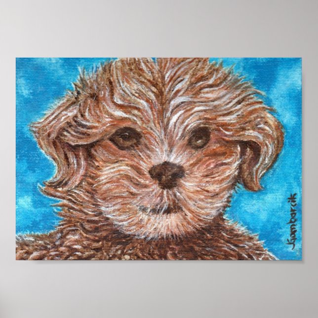 Shih Tzu Puppy Hund Skriv ut Poster (Framsidan)