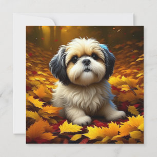 Shih Tzu Puppy Hund spelar i Höst löv