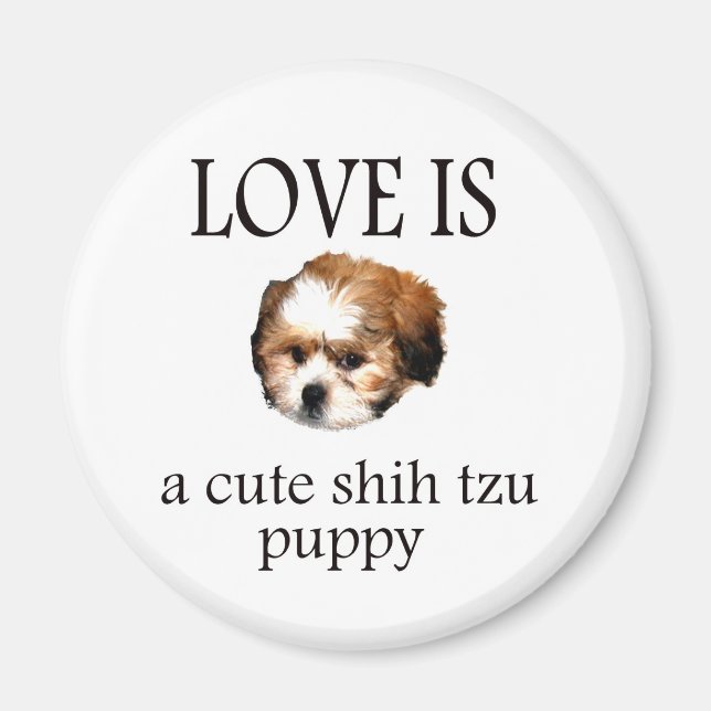Shih Tzu Puppy Magnet (Framsidan)