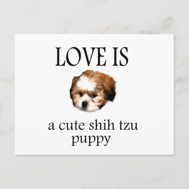 Shih Tzu Puppy Vykort (Framsida)