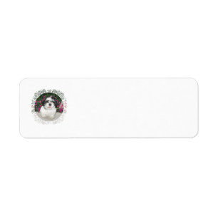 Shih Tzu Räddningsadressetiketter Returadress Etikett