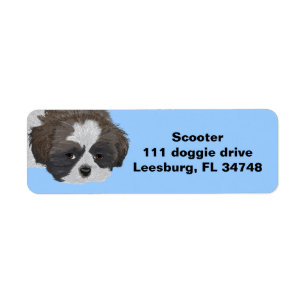 Shih Tzu Returadress Etikett