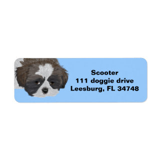 Shih Tzu Returadress Etikett