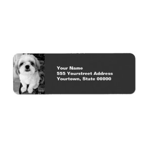 Shih Tzu Returetiketters Returadress Etikett