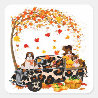 Shih Tzu Riding Leopard Lastbil Pumpkin Thanksgivi Fyrkantigt Klistermärke