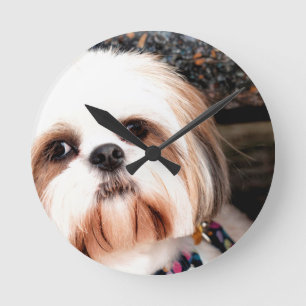 Shih Tzu Rund Klocka