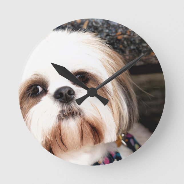 Shih Tzu Rund Klocka (Framsida)