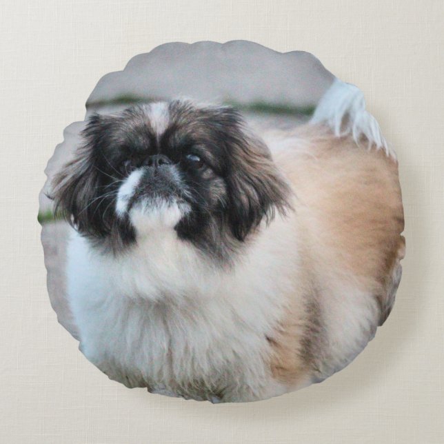 Shih tzu rund kudde (Framsidan)