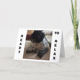 Shih Tzu SÄGER "40" SÅ VILL ÅTERGÅ PÅ BIRTHDAY Kort