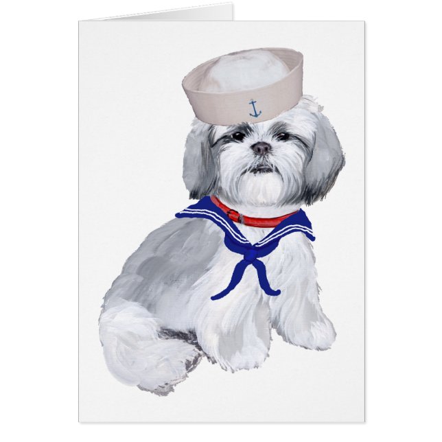 Shih Tzu Sailor Hälsningskort (Framsidan)