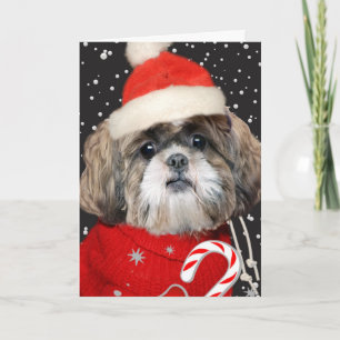 Shih Tzu Santa porträtt Helgkort