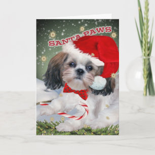 Shih Tzu Santa tafsar julkort Helgkort