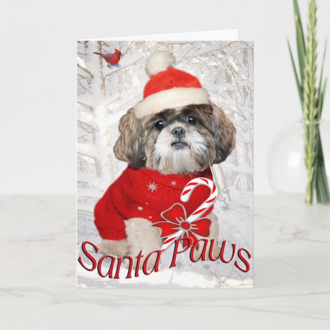 Shih Tzu Santa tafsar kort (Framsida)