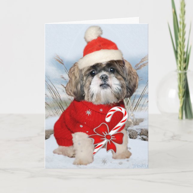 Shih Tzu Santa tafsar kort (Framsida)