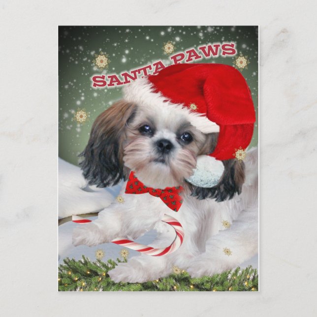 Shih Tzu Santa Tass-gåvor Helg Vykort (Framsida)