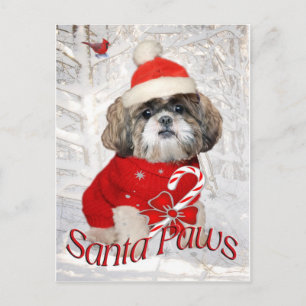 Shih Tzu Santa Tass-gåvor Helg Vykort