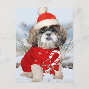 Shih Tzu Santa Tass-gåvor Helg Vykort