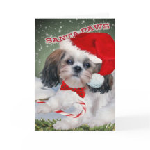 Shih Tzu Santa Tass