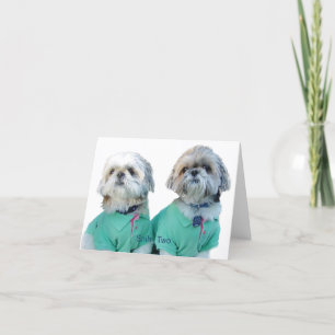 Shih Tzu - Shih två hälsningkort Kort