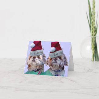 Shih Tzu - Shih två Helgkort