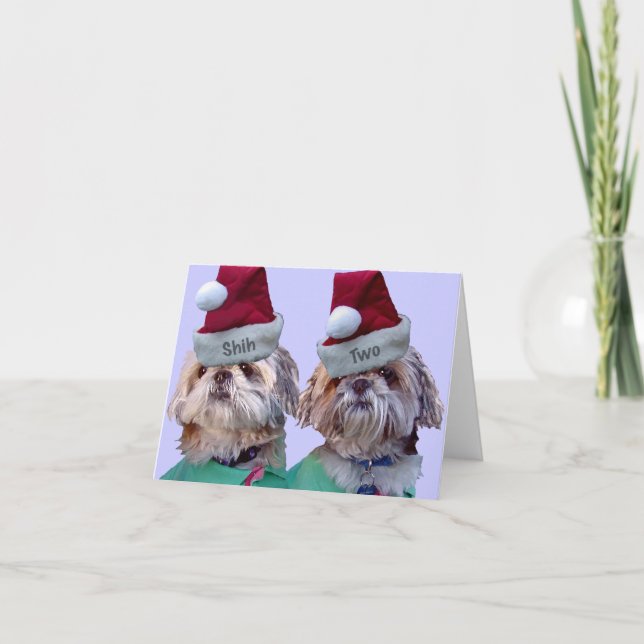 Shih Tzu - Shih två Helgkort (Framsida)