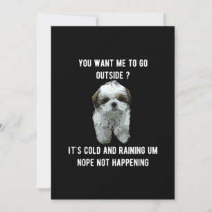 Shih Tzu Shih Tzu du vill att jag ska gå utanför Tack Kort
