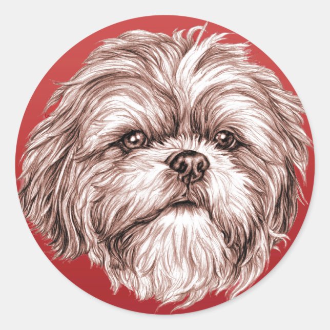 Shih Tzu Sketch Runt Klistermärke (Framsida)