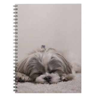 Shih tzu Sleeping Hund Anteckningsbok Med Spiral