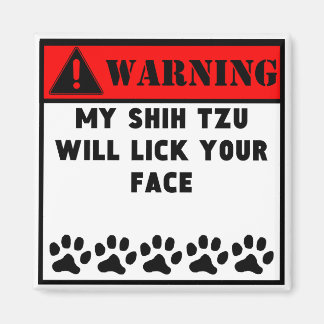 Shih Tzu Slickar Ansikte Magnet